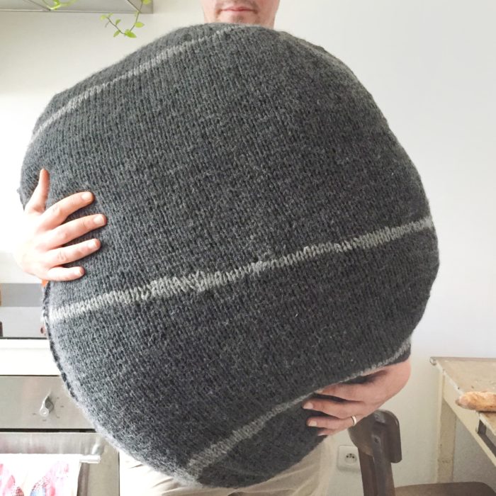 Cushion « Stone-insect » - knit